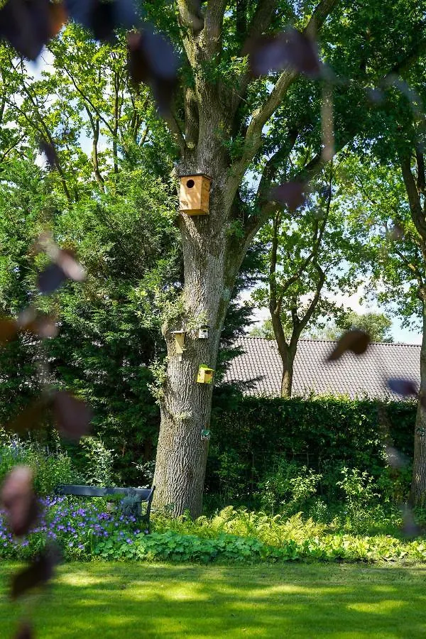 Holiday home Bbkleine Beerze Villa Hoogeloon